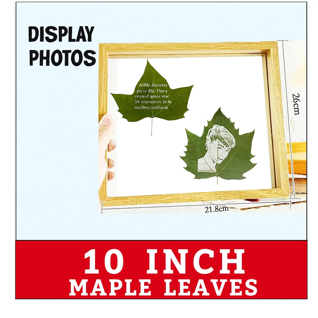 ChatGPT Image Dec 1, 2025, 09_37_47 AM.webp