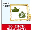 ChatGPT Image Dec 1, 2025, 09_37_47 AM.webp